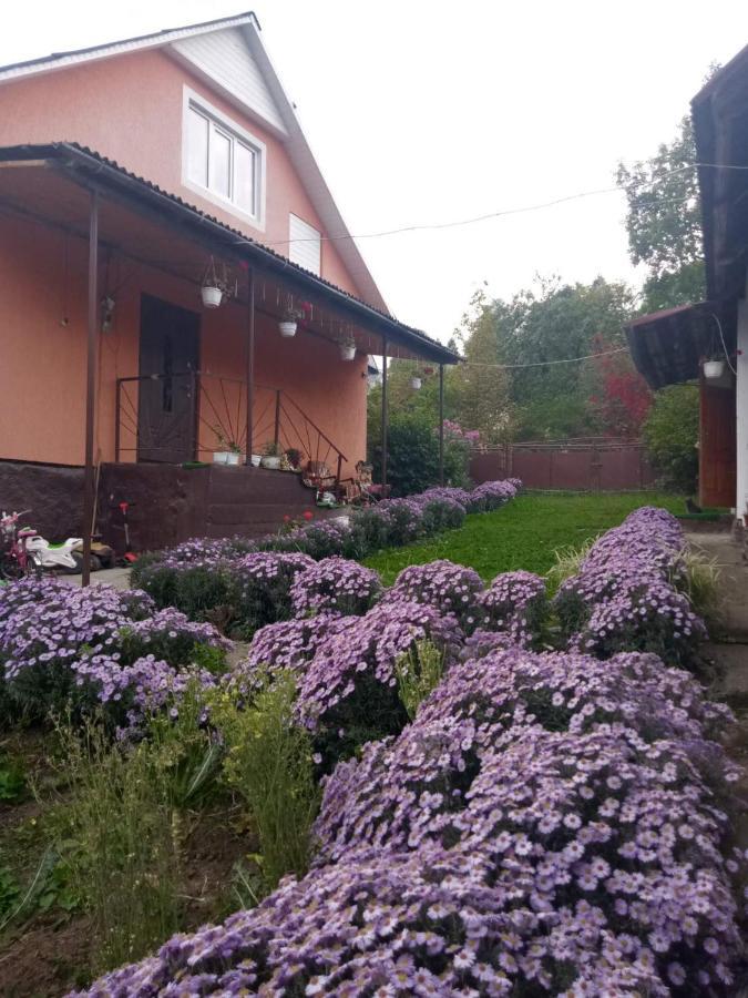 Gostynnyi Dvir U Marichky Hotel Лазещина Екстериор снимка